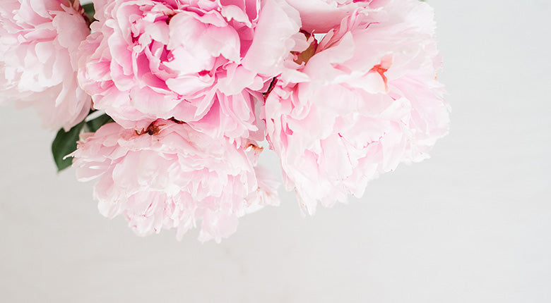 Top 10 Mother's Day Gift Ideas