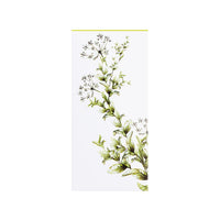 Body Balance - Organic Tisane