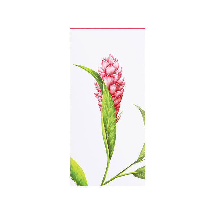 Energy Boost - Organic Tisane