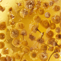 Chamomile Loose Leaf Pouch 250g