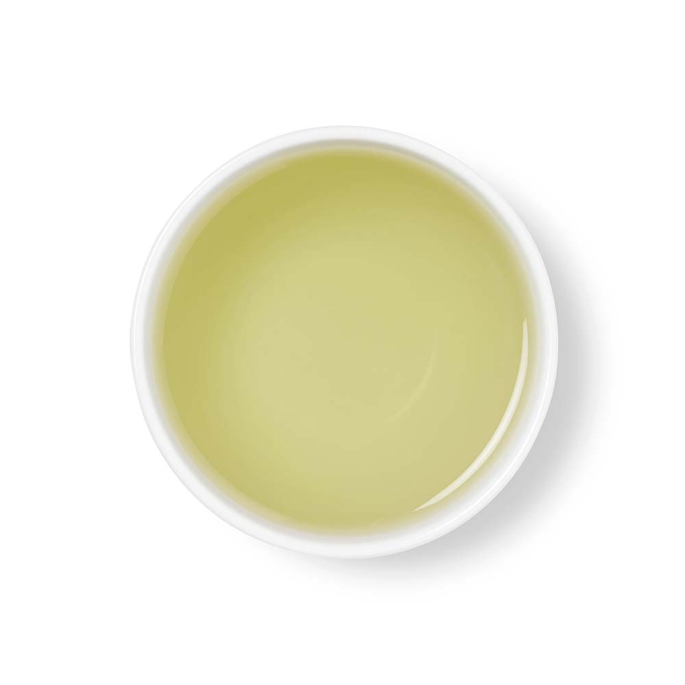 Green Sencha 50 Tea Bags